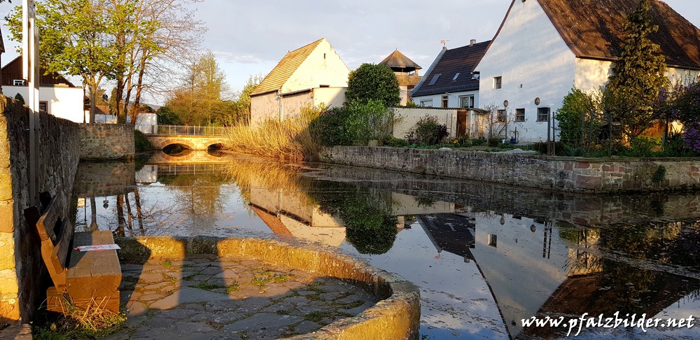 Wasserburg Friedelsheim~003