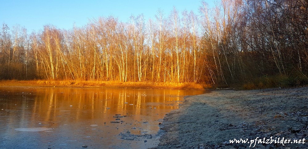 Entenweiher~003