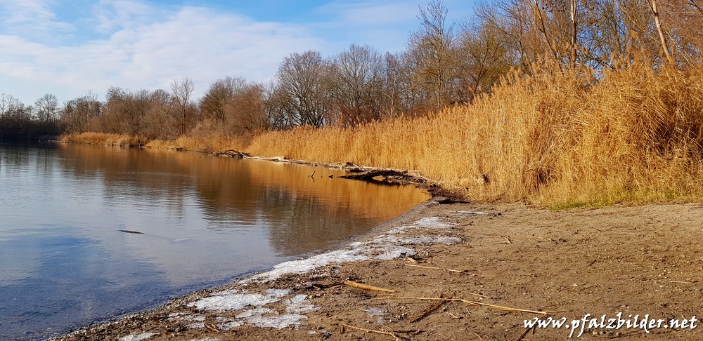 Holzscher-Weiher~001