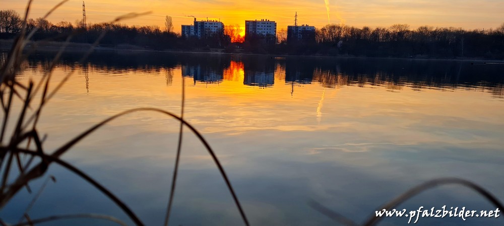 Sonnenaufgang-Holzscher-Weiher~002