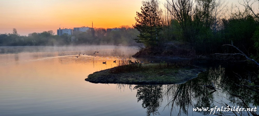 Holzscher-Weiher~001