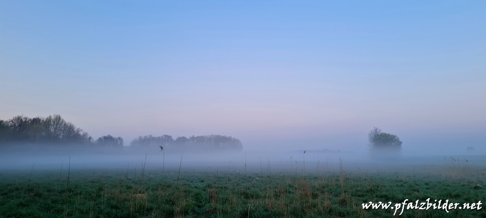 Holzscher-Weiher~003