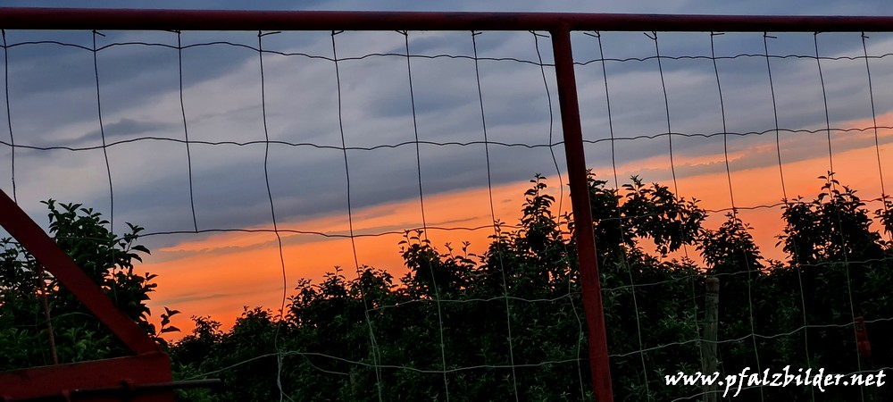 Sonnenuntergang~004