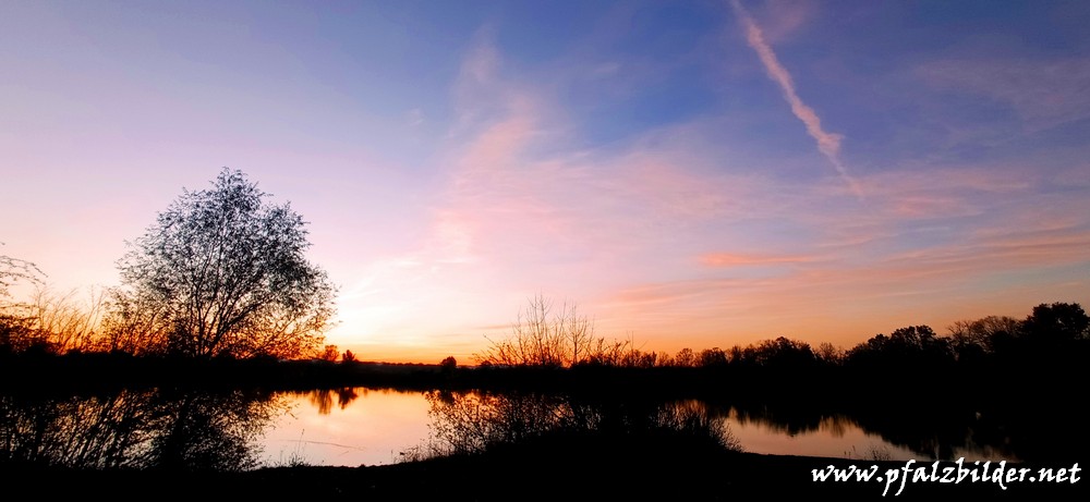 Holzscher-Weiher-Niederfeld~001