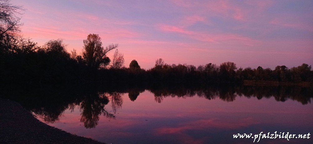 Holzscher-Weiher-Niederfeld~003