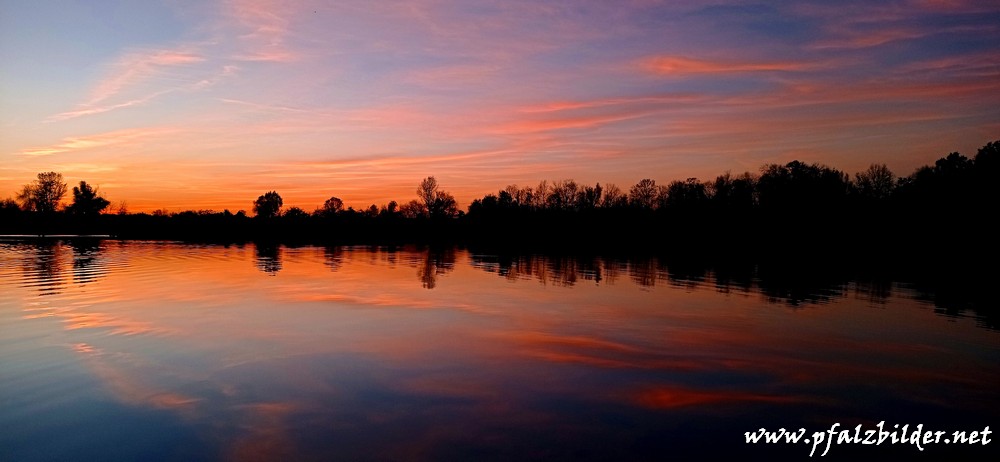 Holzscher-Weiher-Niederfeld~004