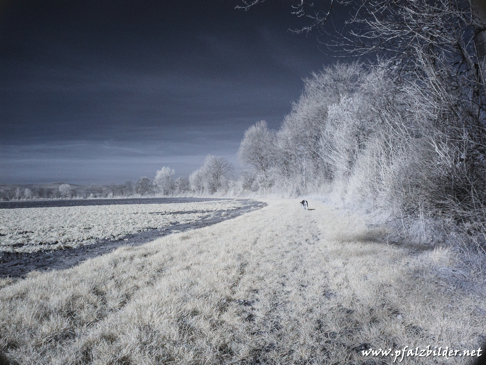 Roedersheim-Feld-IR~001