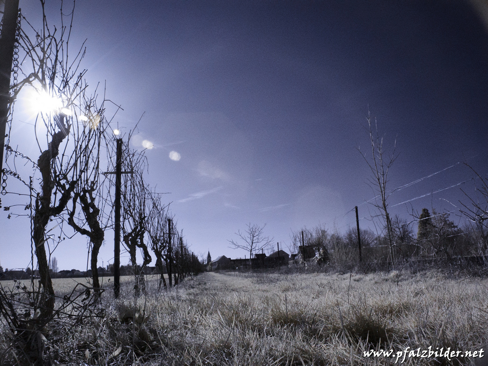 Roedersheim-Feld-IR~002