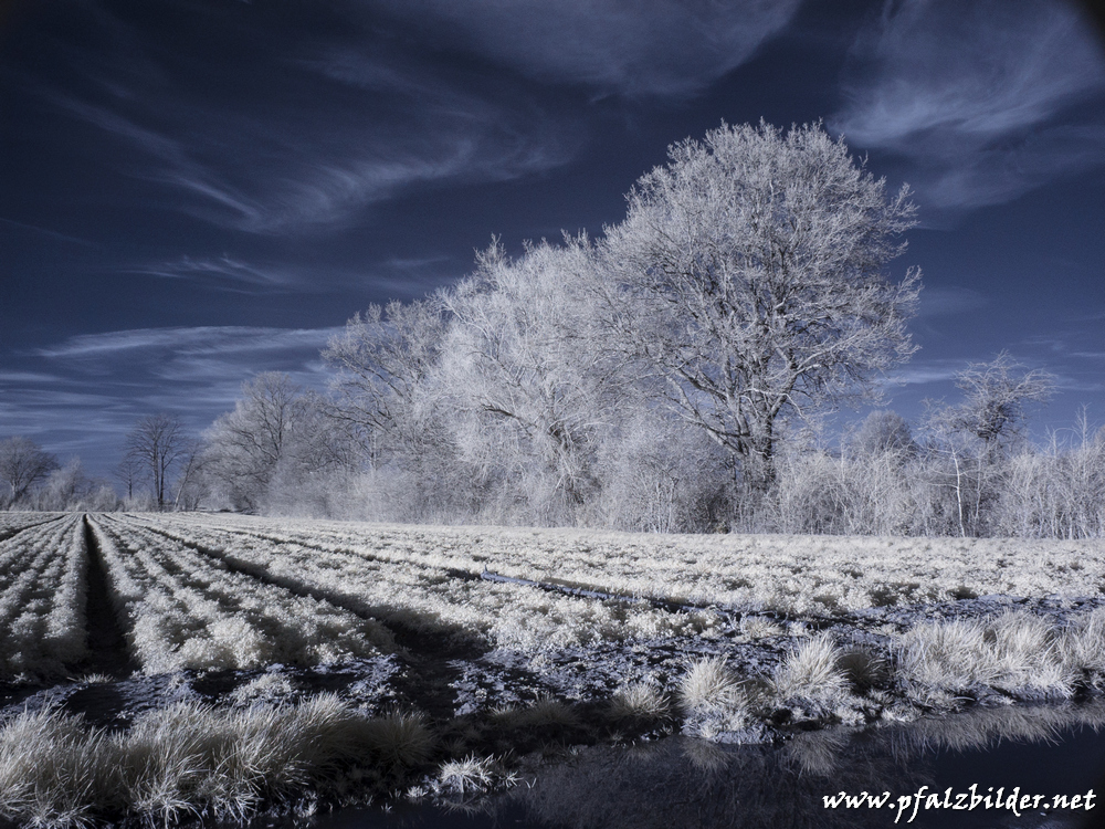 Roedersheim-Feld~IR~001