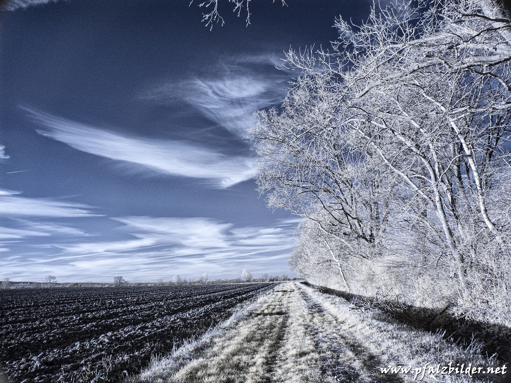 Roedersheim-Feld~IR~002