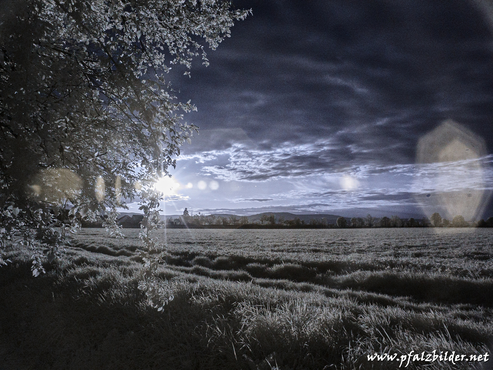 Roedersheim-Feld~IR~001