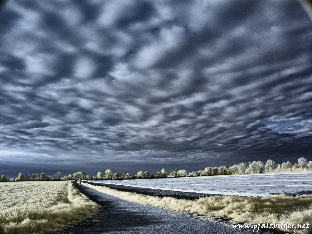 Roedersheim-Feld~IR~002