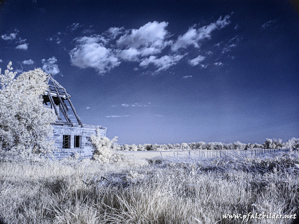 Roedersheim-Feld~IR~002