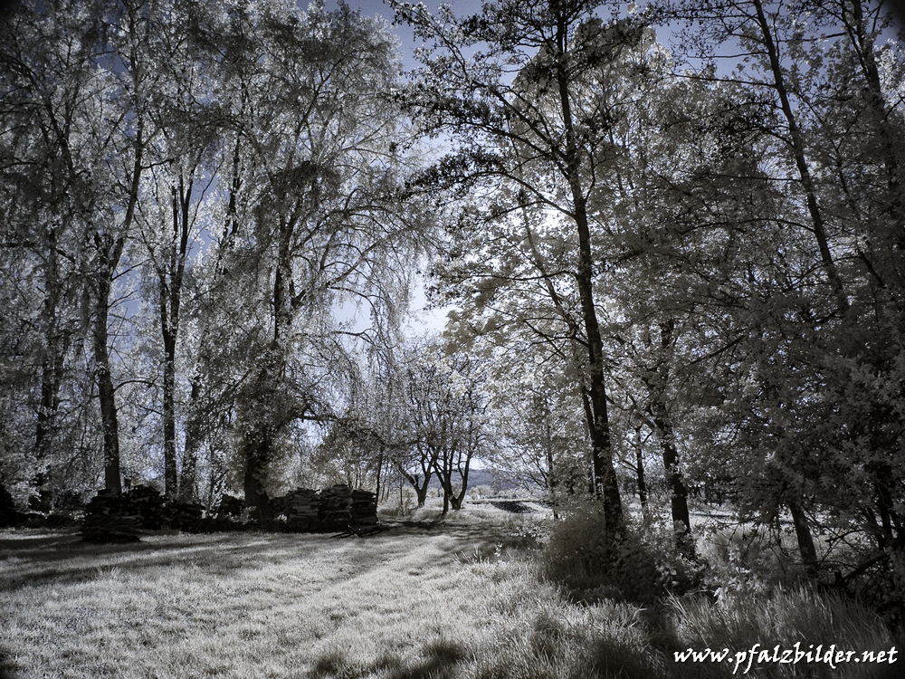 Burg-Gronau~IR~003