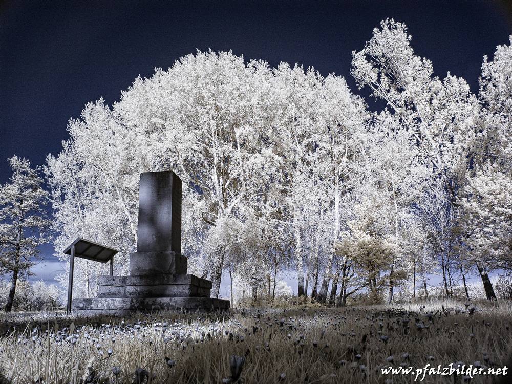 Burg-Gronau~IR~006