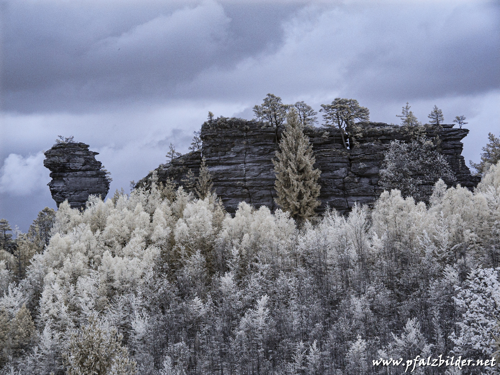 Laemmerfelsen~IR~002