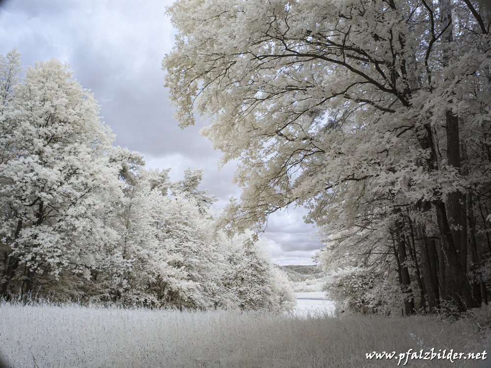 Drachenfels~IR~007