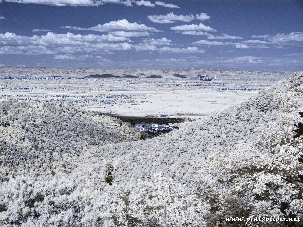 Braeuninger-Fels-Aussicht~IR~003