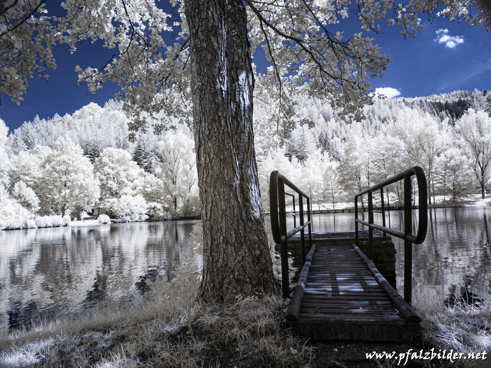 Helmbachweiher~IR~001