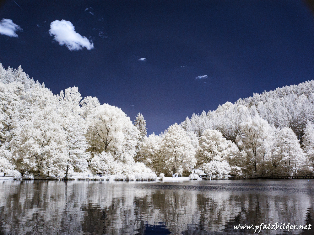 Helmbachweiher~IR~002