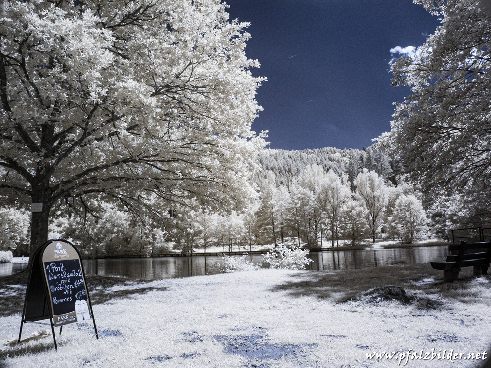 Helmbachweiher~IR~003