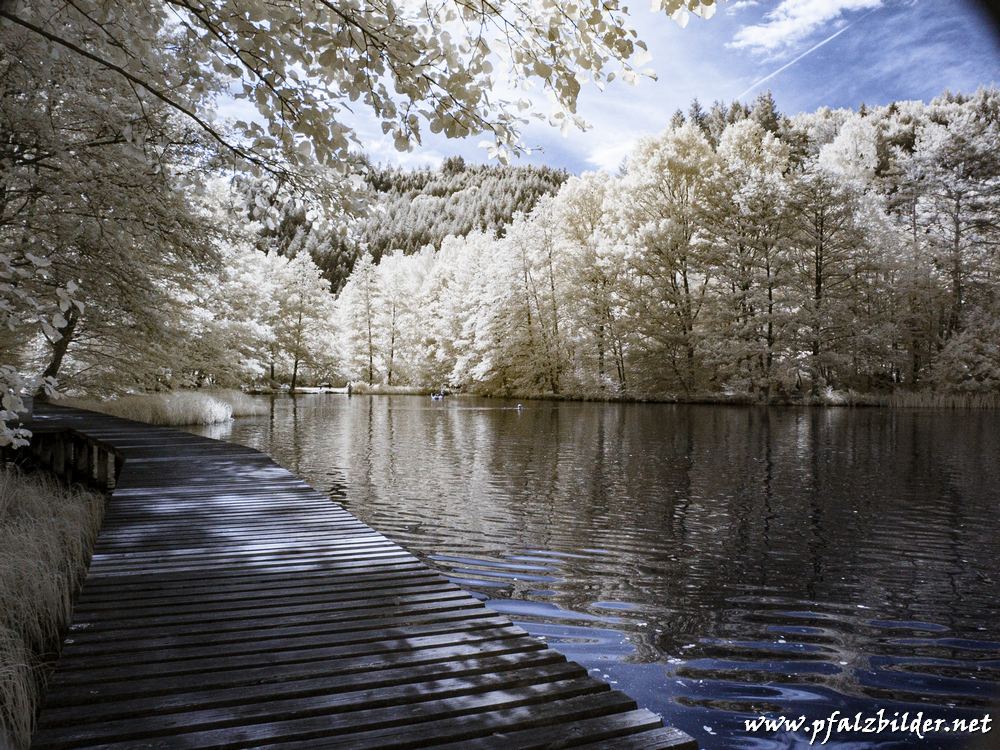 Helmbachweiher~IR~004