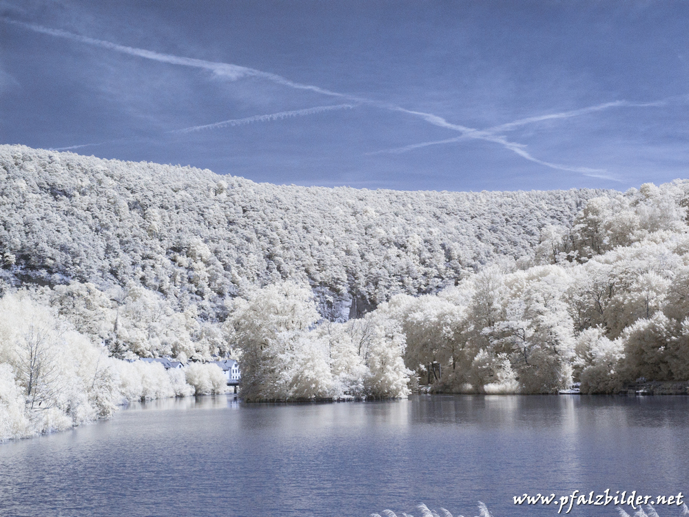 Herzogweiher~002