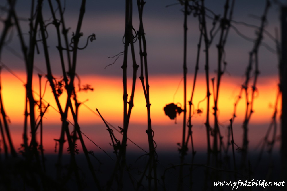 Roemervilla~009