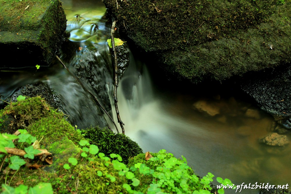 Mussbach-Benjenthal~001