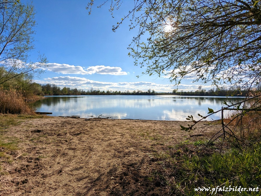 Holzscher-Weiher~001