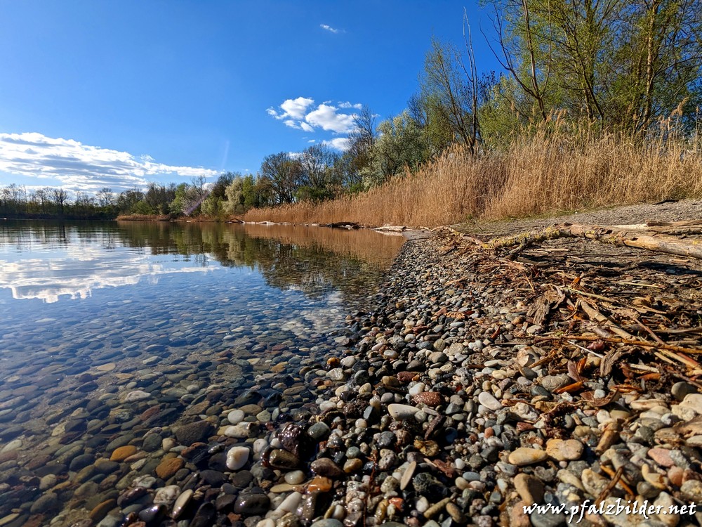 Holzscher-Weiher~002