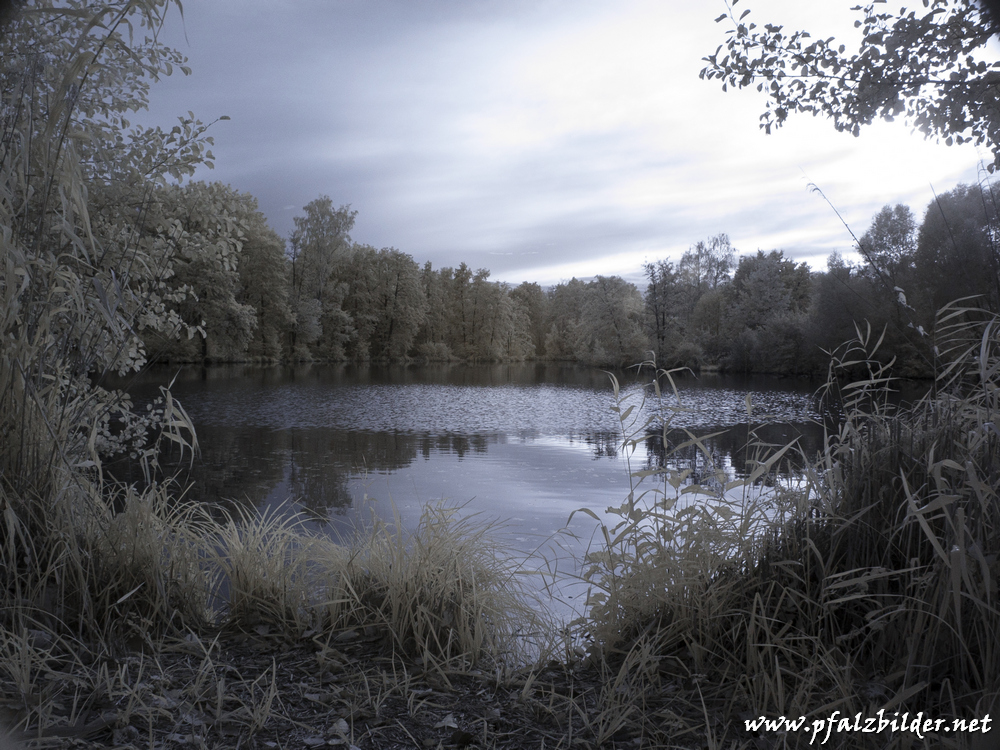 Steinfeld-Panzergraben~006