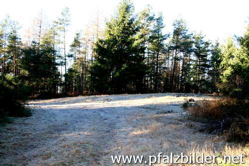 Rothsolenberg-004