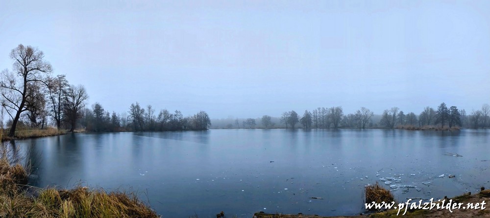 Niederwiesenweiher~001