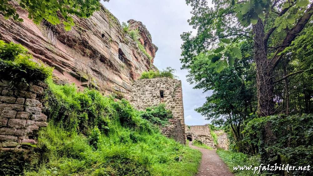 Drachenfels~003