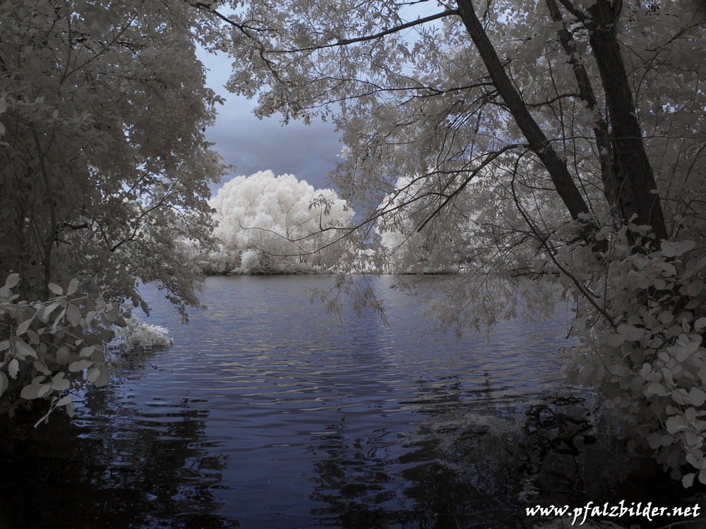 Panzergraben-Steinfeld~002