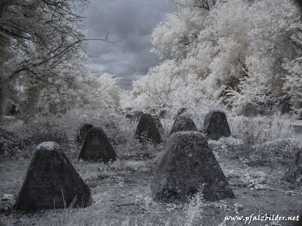 Hoeckerlinie-Steinfeld~002