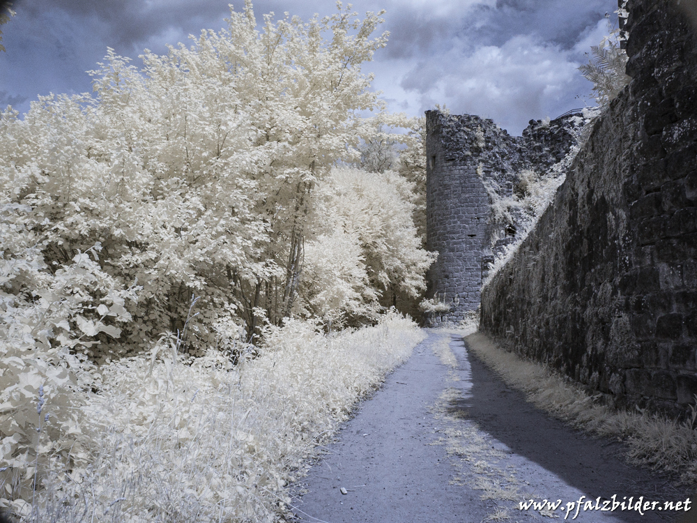 Neuscharfeneck~004