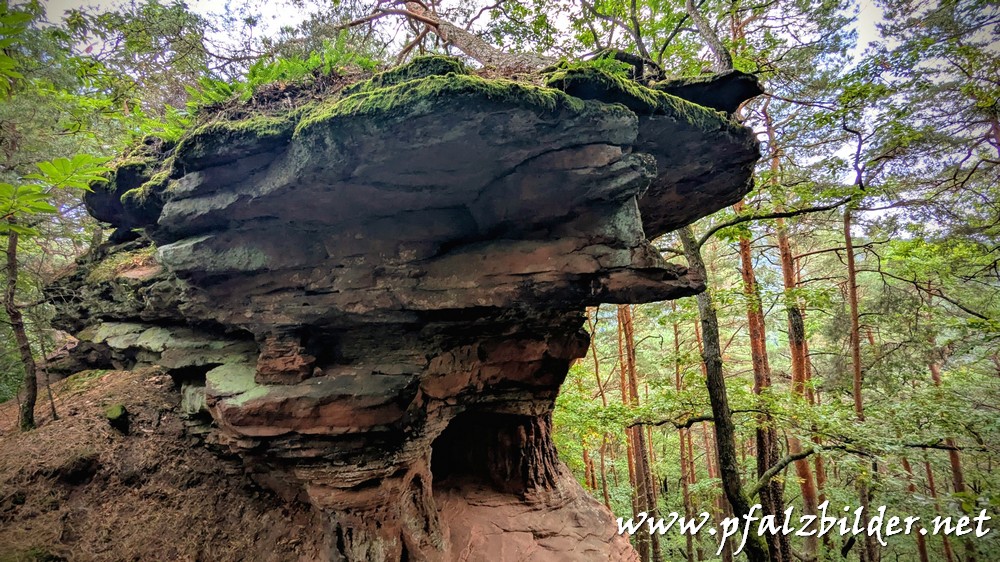 Sommerfels-Graefenhausen~003