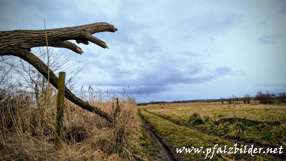 Isenach-Schwemmfaecher~001