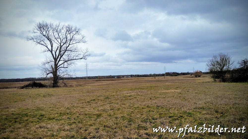 Isenach-Schwemmfaecher~003