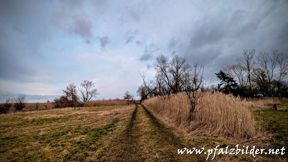 Isenach-Schwemmfaecher~004