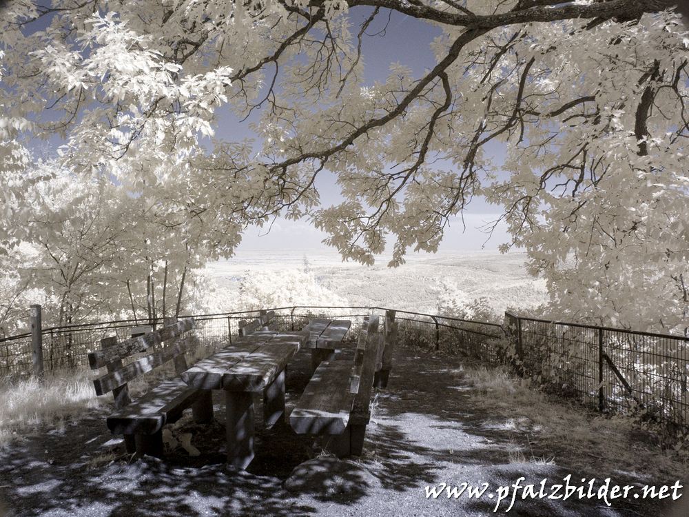 Rahnfels~001