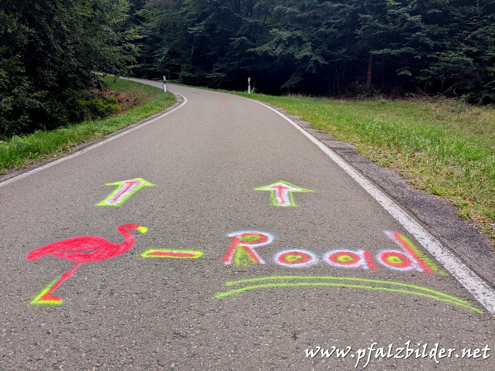 Flamingo-Road~001