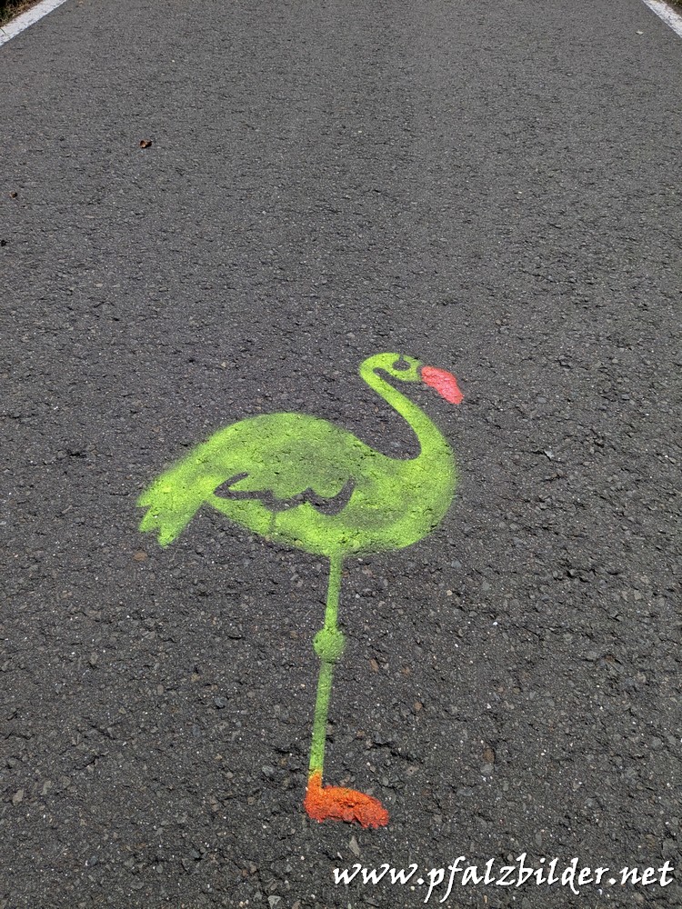Flamingo-Road~005