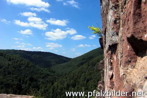 Wasigenstein-009