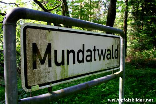 Mundatwald 01