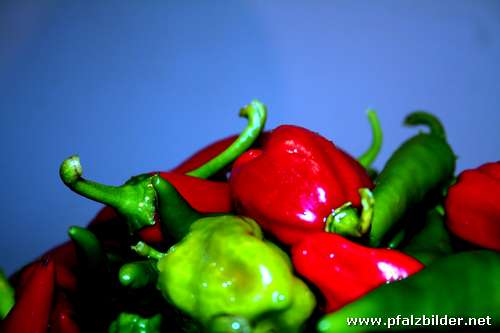 Chillies~001