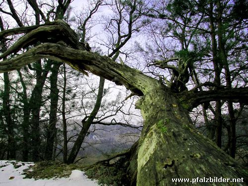 Altschlossfelsen~004