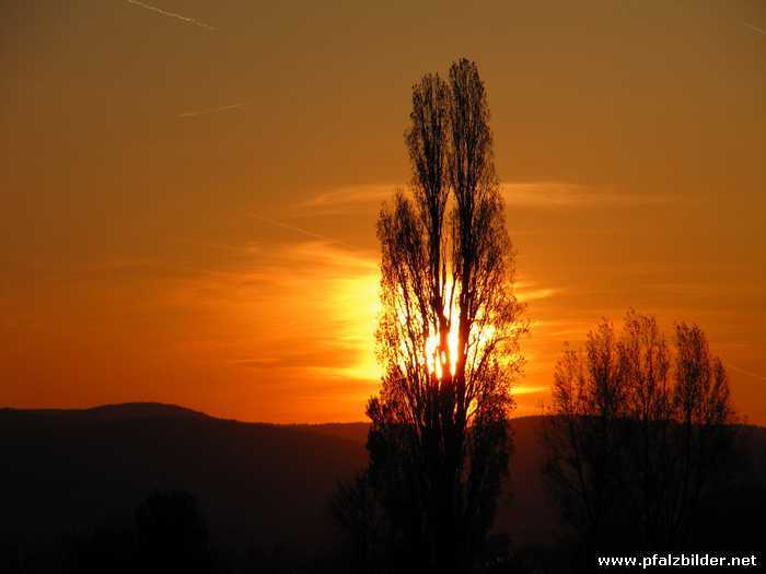 Sonnenuntergang~002